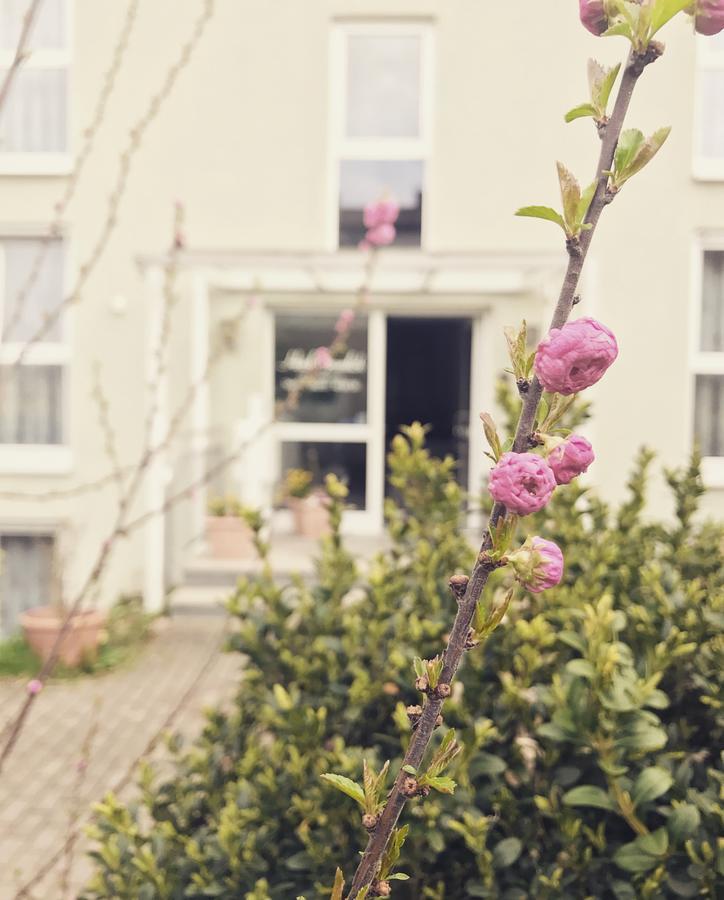 Hotel Gramlich Heddesheim Eksteriør billede